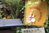 まぐねっとＰｏｉｎｔ
