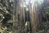 ガンガラーの谷