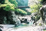 鳩ノ巣渓谷