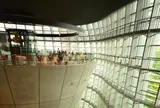 国立新美術館