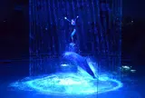 エプソンアクアパーク品川 (EPSON AQUA PARK SHINAGAWA)