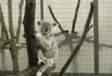 東京都多摩動物公園