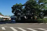 桜ヶ丘ロータリー