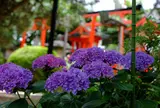 御霊神社