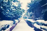 桃園川緑道