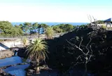 都立大島公園動物園