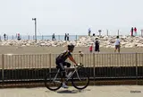 城南島海浜公園