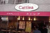 カトレア