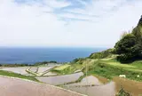 東後畑棚田