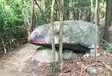 猿投山 カエル石