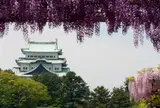 名城公園