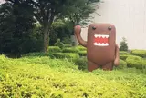 NHKスタジオパーク