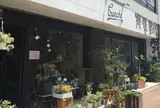 ブランシュ