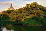 千鳥ヶ淵