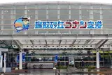 鳥取砂丘コナン空港