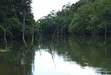 大正池