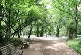 都立林試の森公園