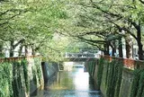 目黒川