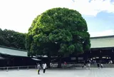明治神宮