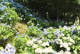 ２１世紀の森公園