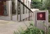 ダンディゾン