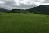十勝千年の森