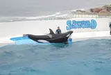 鴨川シーワールド