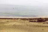 七里ケ浜