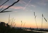隅田川
