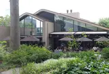 IVY PLACE