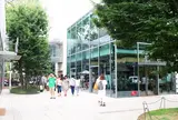 代官山 蔦屋書店(TSUTAYA)