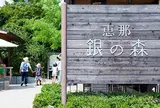 銀の森