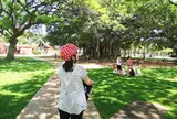 Segway of Hawaii