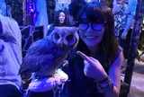 ふくろうカフェ アウルの森