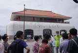琉宮城蝶々園