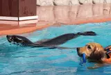 那須どうぶつ王国