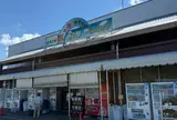 道の駅はにゅう