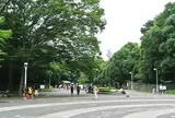 代々木公園