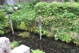 居醒の清水