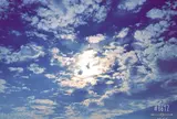 豆酘崎