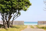 茂木浜海水浴場