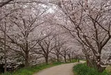 対馬市教育委員会美津島地区公民館