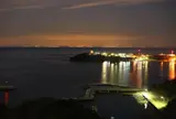 韓国展望所