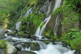 吐竜の滝