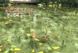 モネの池