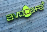avocafe