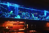 新宿ライム