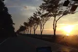 彦根城