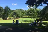 等々力渓谷公園