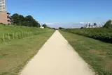 二子玉川 多摩川の河川敷
